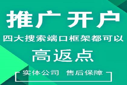 SEM推广实战：案例分析及策略调整